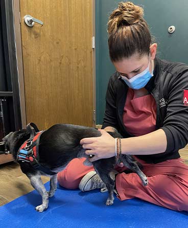 pet-massage-northbrook-il-6