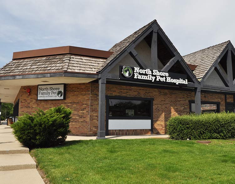 Careers at North Shore Family Pet in Northbrook, IL